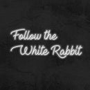 FOLLOW THE WHITE RABBIT